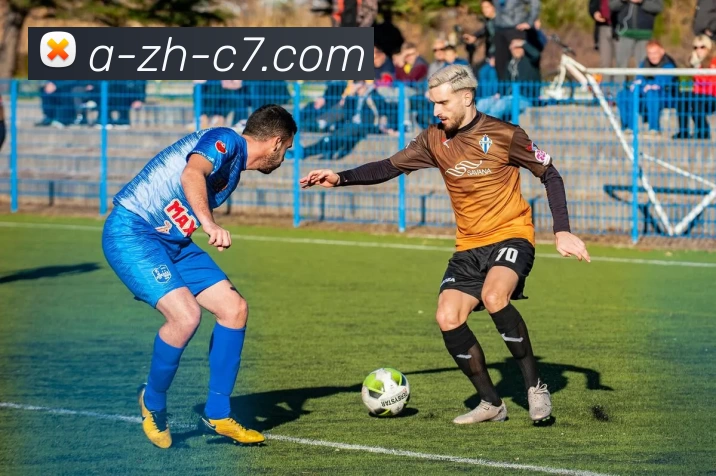 c7娱乐平台生态图